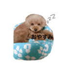 モカ.（個別スタンプ：2）