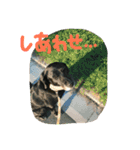 Y＆T sometimes P（個別スタンプ：6）