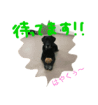 Y＆T sometimes P（個別スタンプ：8）