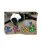 Y＆T sometimes P（個別スタンプ：14）