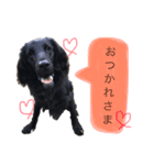 FlanStamp2（個別スタンプ：1）