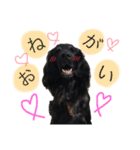 FlanStamp2（個別スタンプ：2）