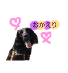 FlanStamp2（個別スタンプ：4）