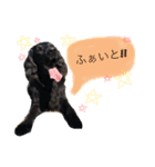 FlanStamp2（個別スタンプ：8）