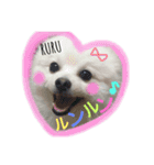 Happy RURUtan stamp（個別スタンプ：1）