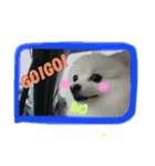Happy RURUtan stamp（個別スタンプ：3）
