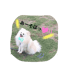 Happy RURUtan stamp（個別スタンプ：4）