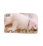 Happy RURUtan stamp（個別スタンプ：5）