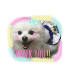 Happy RURUtan stamp（個別スタンプ：7）