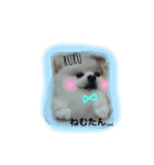 Happy RURUtan stamp（個別スタンプ：8）