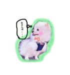 Happy RURUtan stamp（個別スタンプ：13）