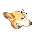corgi LOVE！（個別スタンプ：5）
