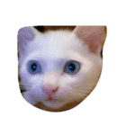 mariepanJ（個別スタンプ：6）
