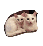 mariepanJ（個別スタンプ：8）