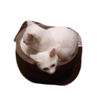 mariepanJ（個別スタンプ：10）