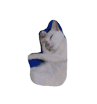 mariepanJ（個別スタンプ：11）