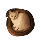 mariepanJ（個別スタンプ：12）