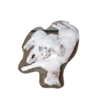 mariepanJ（個別スタンプ：17）
