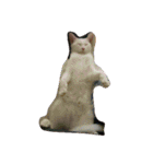 mariepanJ（個別スタンプ：19）