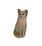 mariepanJ（個別スタンプ：21）