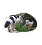 mariepanJ（個別スタンプ：22）
