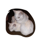 mariepanJ（個別スタンプ：24）
