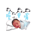 Fu life sticker pack（個別スタンプ：11）