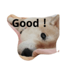 every day WANKO（個別スタンプ：7）