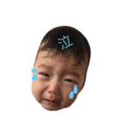 てるゆずちゃん（個別スタンプ：1）
