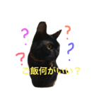 きにゃる2（個別スタンプ：6）