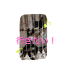 きにゃる2（個別スタンプ：9）
