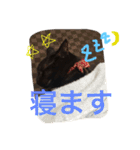 きにゃる2（個別スタンプ：16）