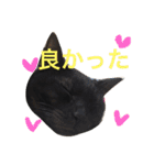 きにゃる2（個別スタンプ：17）