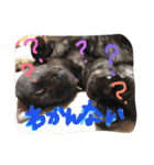 きにゃる2（個別スタンプ：18）