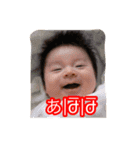 kids laugh（個別スタンプ：24）