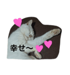 もっちゃんすたんぷ（個別スタンプ：10）