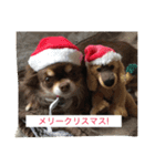 Welcome to misocats world 6（個別スタンプ：2）