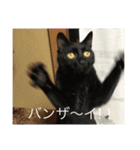 Welcome to misocats world 6（個別スタンプ：8）