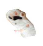 うず君とマロぴん（個別スタンプ：1）