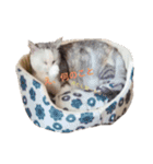 うず君とマロぴん（個別スタンプ：3）