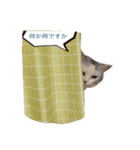 うず君とマロぴん（個別スタンプ：5）