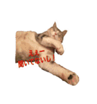 うず君とマロぴん（個別スタンプ：9）