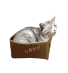 うず君とマロぴん（個別スタンプ：13）
