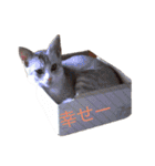 うず君とマロぴん（個別スタンプ：14）