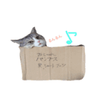うず君とマロぴん（個別スタンプ：19）