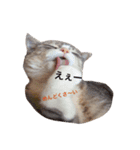 うず君とマロぴん（個別スタンプ：20）