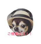 可愛いわんこ（個別スタンプ：6）