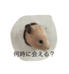 tm 8223tm（個別スタンプ：12）