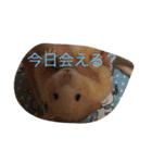 tm 8223tm（個別スタンプ：13）