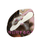 tm 8223tm（個別スタンプ：14）